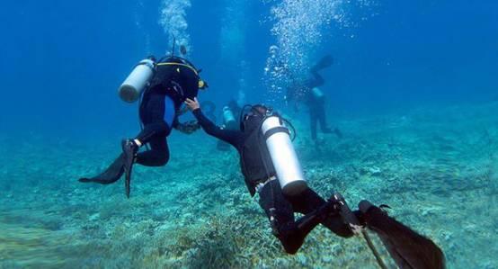 海绵宝宝寻珍宝
