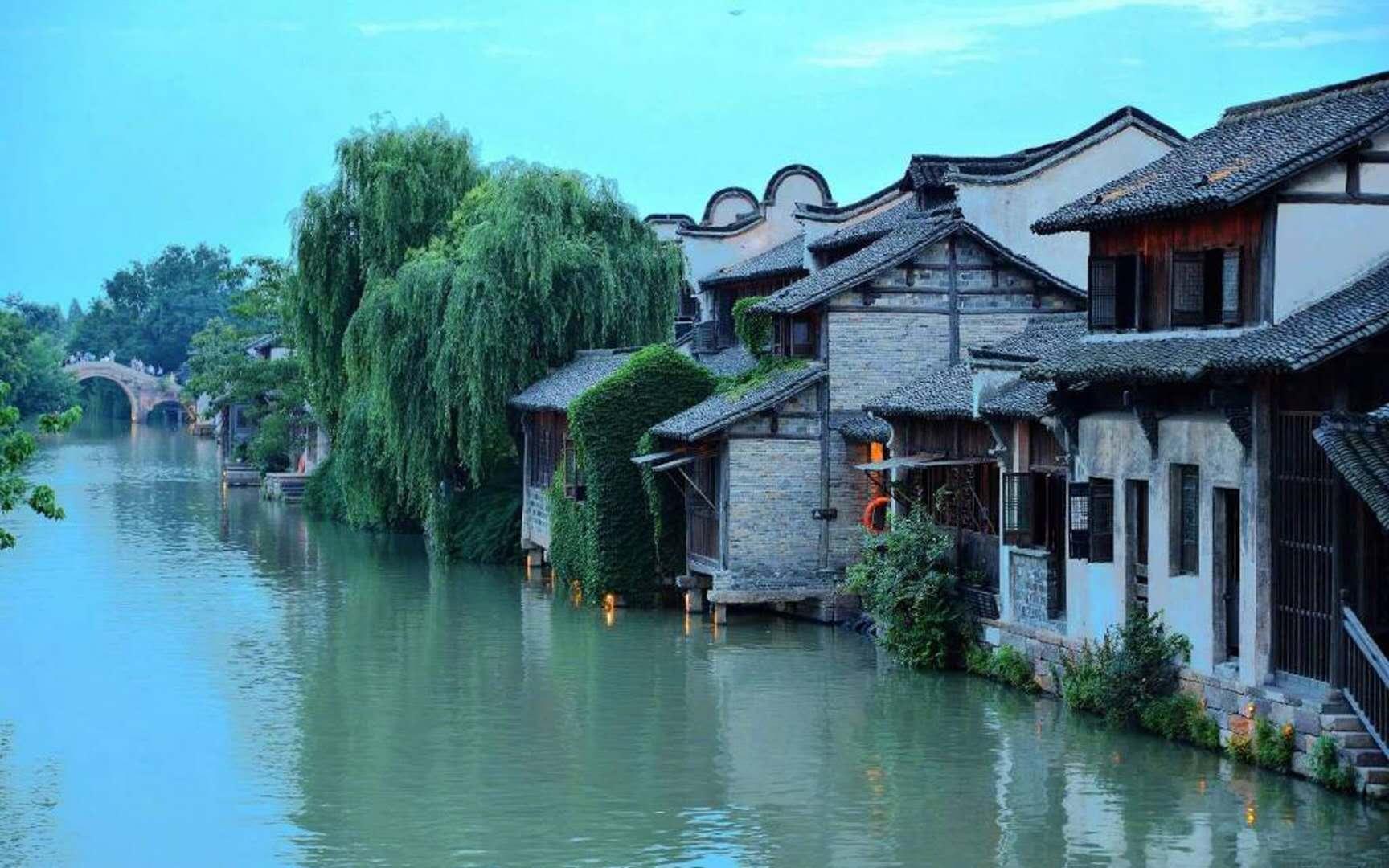 卡通考拉救援